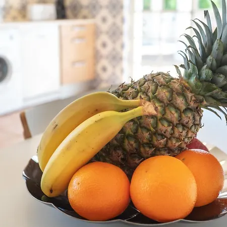 Quiet Spacious House - Swimming Pool